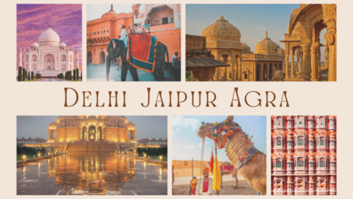Brown Beige Modern Vintage India Travel Vlog Photo