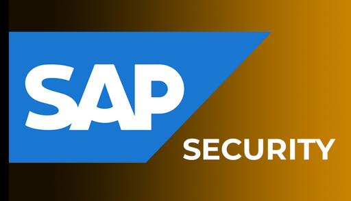 SAP Security.png