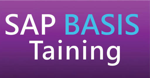 SAP BASIS TRAINING.jpg