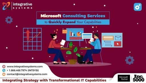 Microsoft Consulting Services Provider.jpg